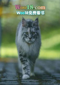 男主投胎变成猫